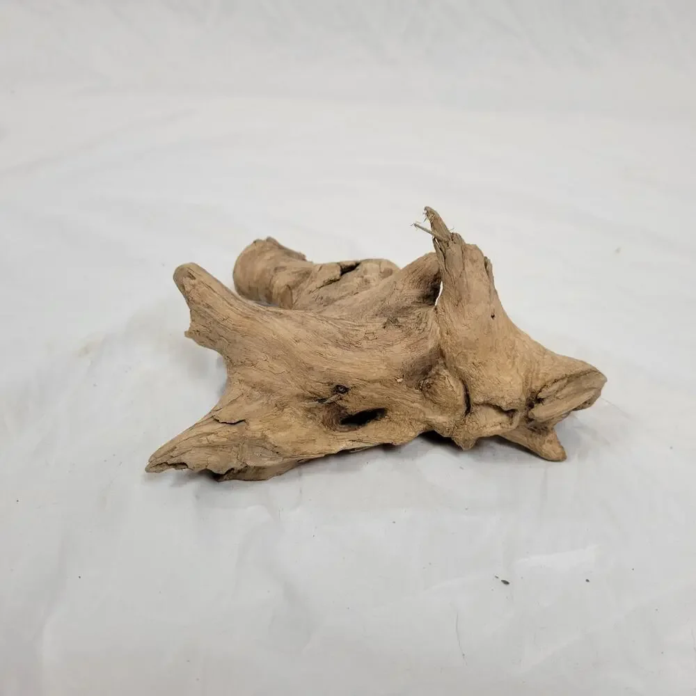 Ohio River Driftwood 8
